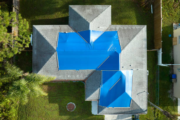 Best Solar Panel Roofing Installation  in Roodhouse, IL