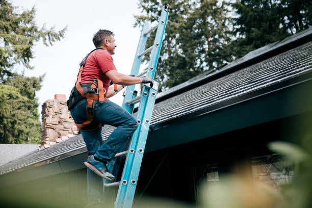 Best Roof Maintenance and Cleaning  in Roodhouse, IL